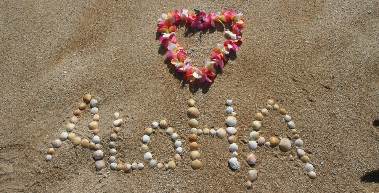 Das Wort "ALOHA" in Form von Muscheln im Strandsand ausgelegt. Darüber liegt ein Blumen-Lei - ein Blumenkranz in Form eines Herzens. Er steht für den Kreis der Liebe. GROENIE by Arwed Grön Das Wort "ALOHA" in Form von Muscheln im Strandsand ausgelegt. Darüber liegt ein Blumen-Lei - ein Blumenkranz in Form eines Herzens. Er steht für den Kreis der Liebe. GROENIE by Arwed Grön