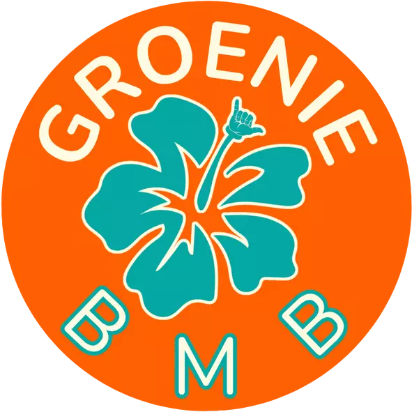 GROENIE | Body Mind Business | Shift your life into a happy with Aloha and AI Tools!